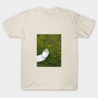 White dog in meadow T-Shirt